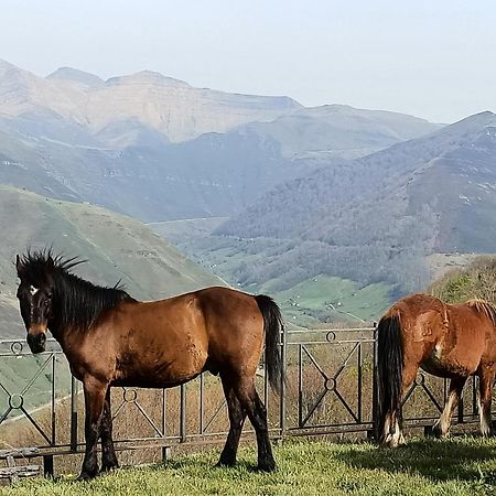 La Cabana Mirador De Los Valles Pasiegos Вега-де-Пас Экстерьер фото