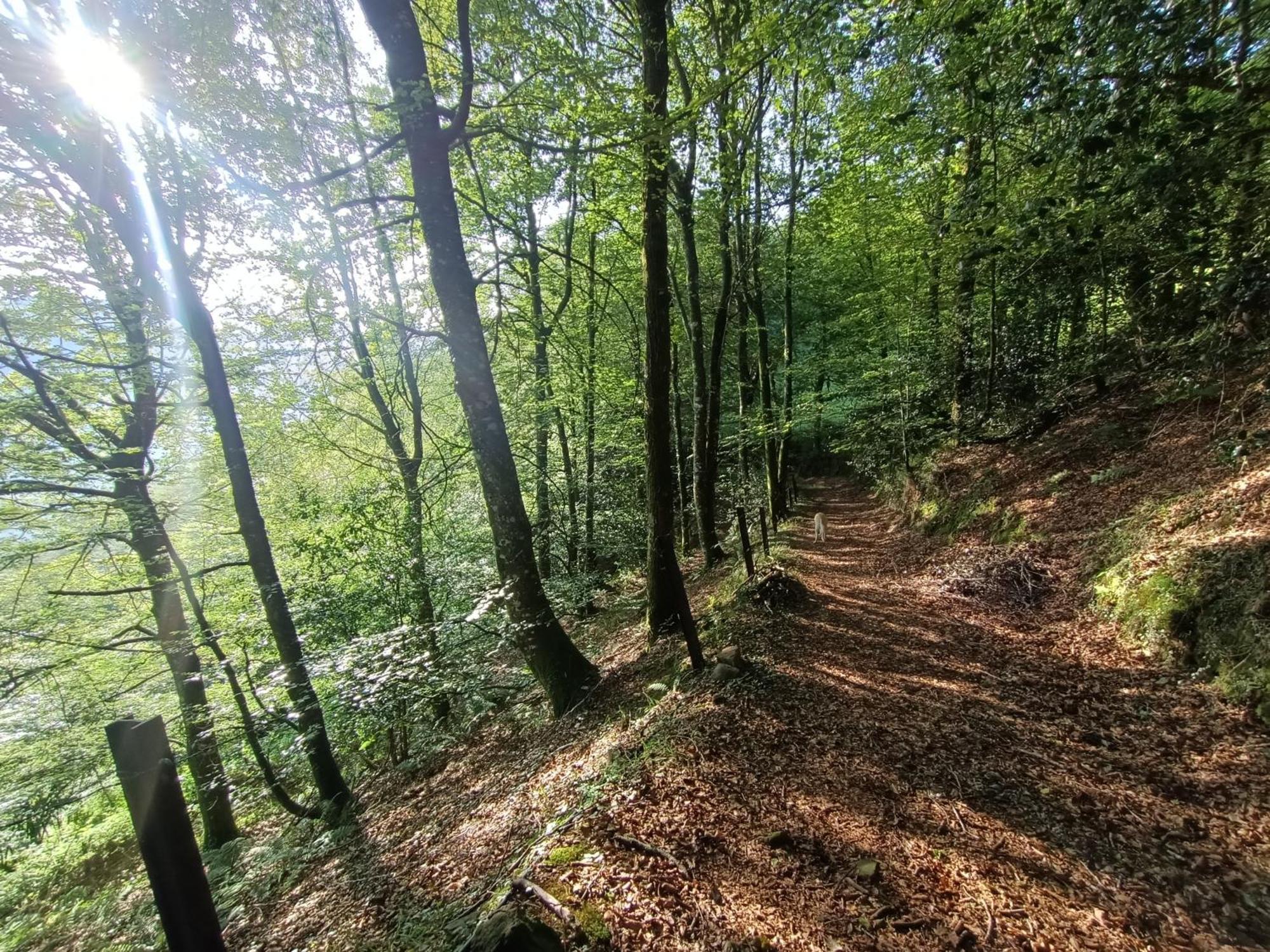 La Cabana Mirador De Los Valles Pasiegos Вега-де-Пас Экстерьер фото